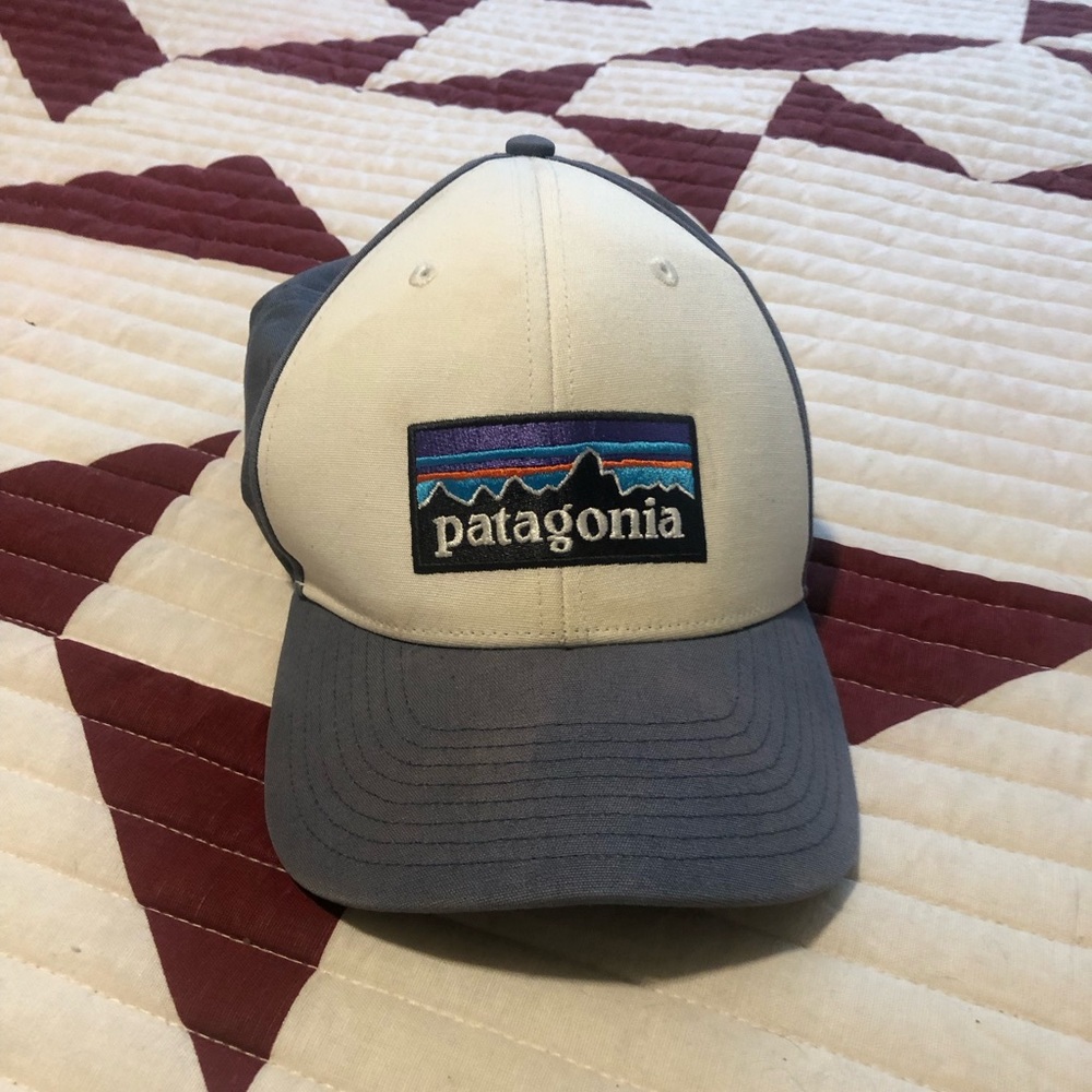 Patagonia Trucker Hat